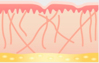 Nur-aesthetics-derme